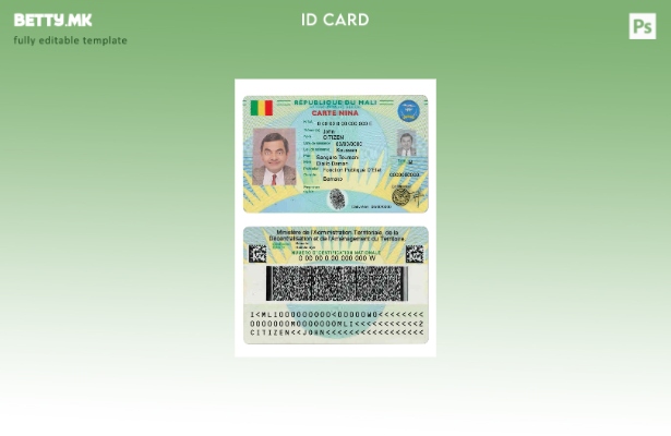Модерен стил шаблон Mali Carte Nina